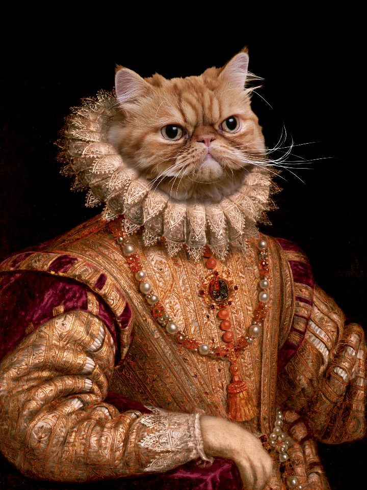 Duchess Sidonie — cat portrait in the style of the Renaissance